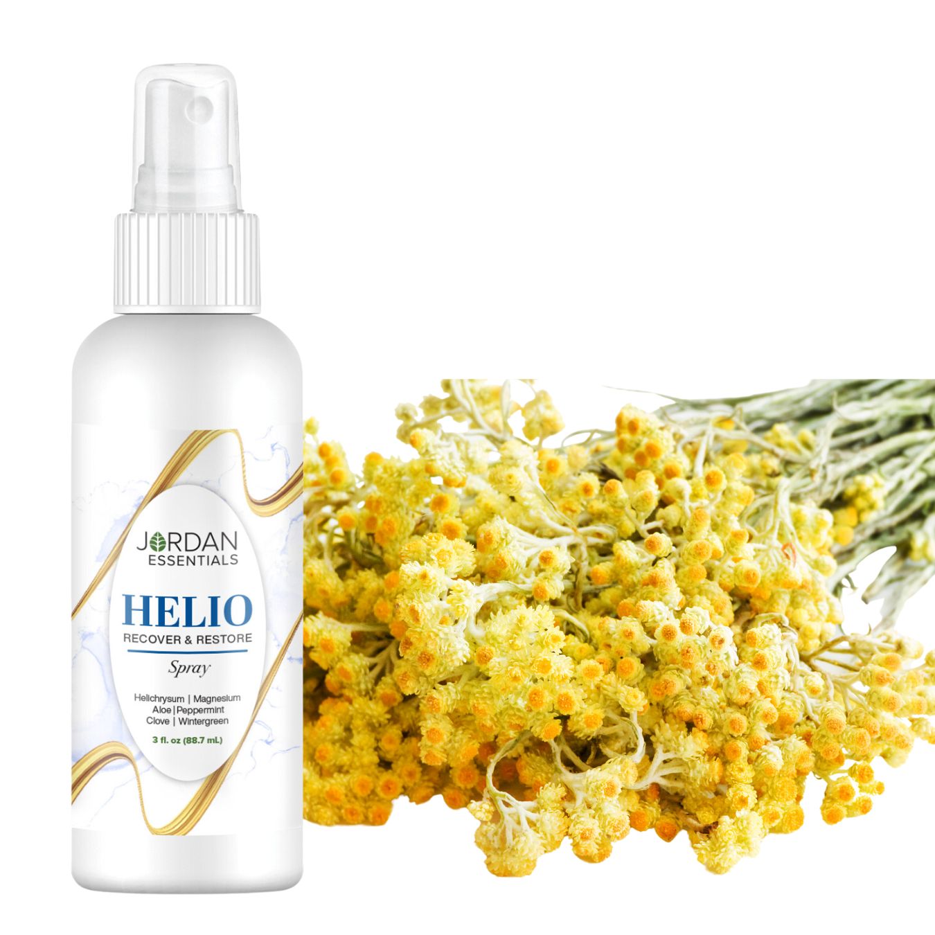 Unveiling The Beauty Of Helichrysum Italicum A Precious Essential Oil